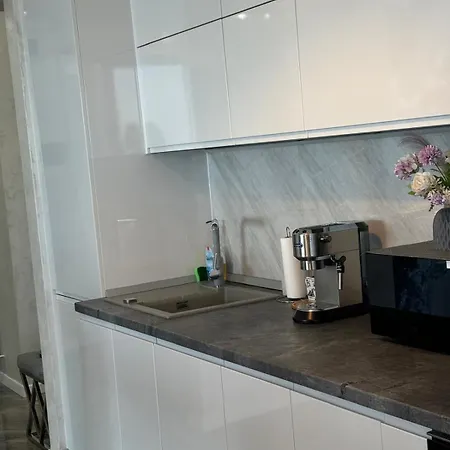 Mamaia Nord-navodari Seaside View アパート *